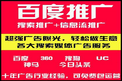 搜索引擎营销（SEM）在移动端的推广案例